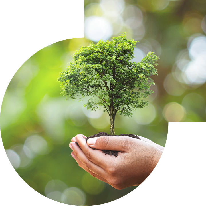 关怀人类、文化、环境与社会